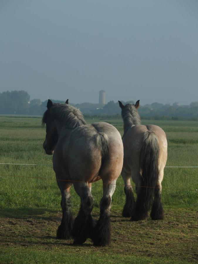 Vila Klinket Zoutelande Exteriér fotografie